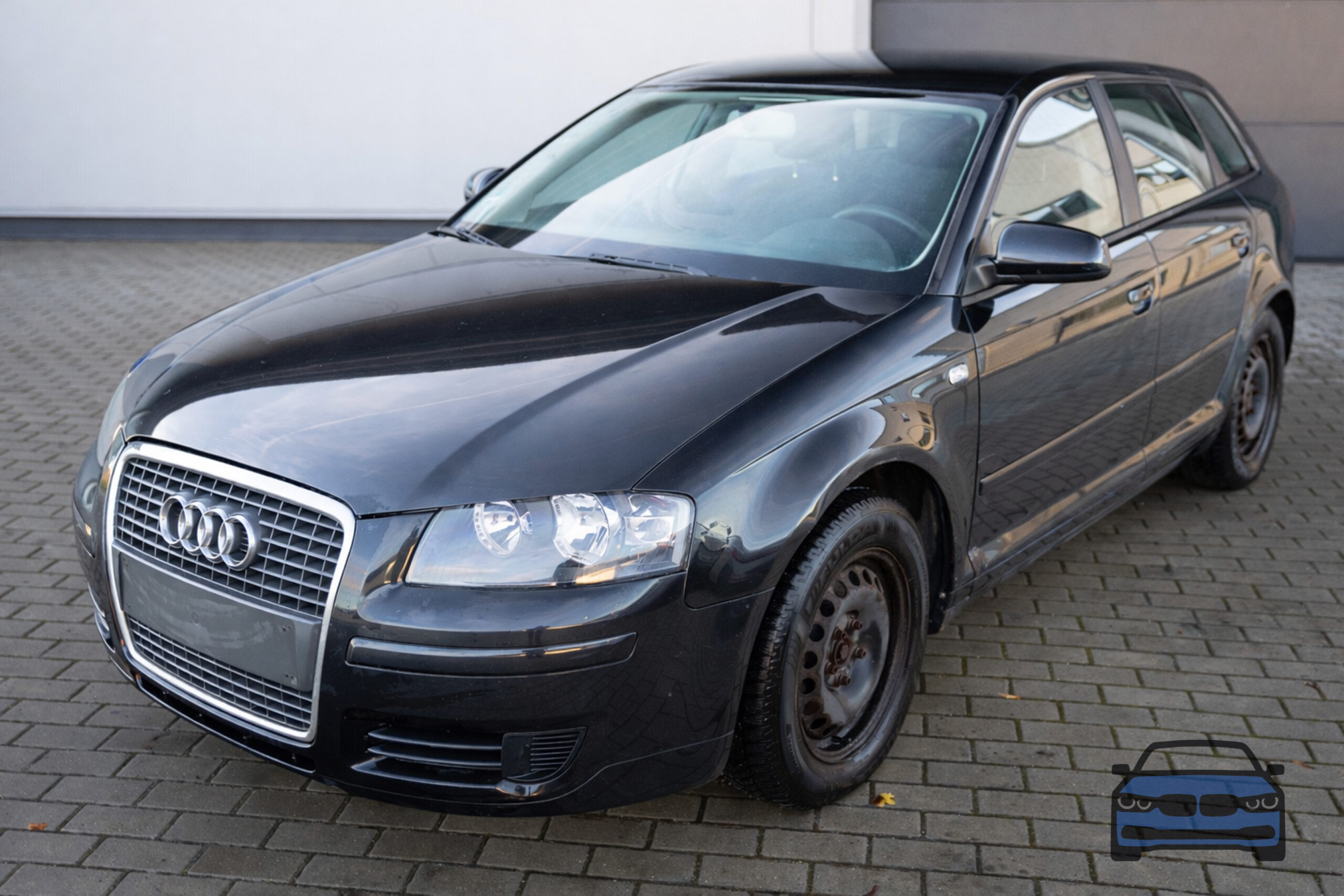 Audi A3 8P 1.9 TDI